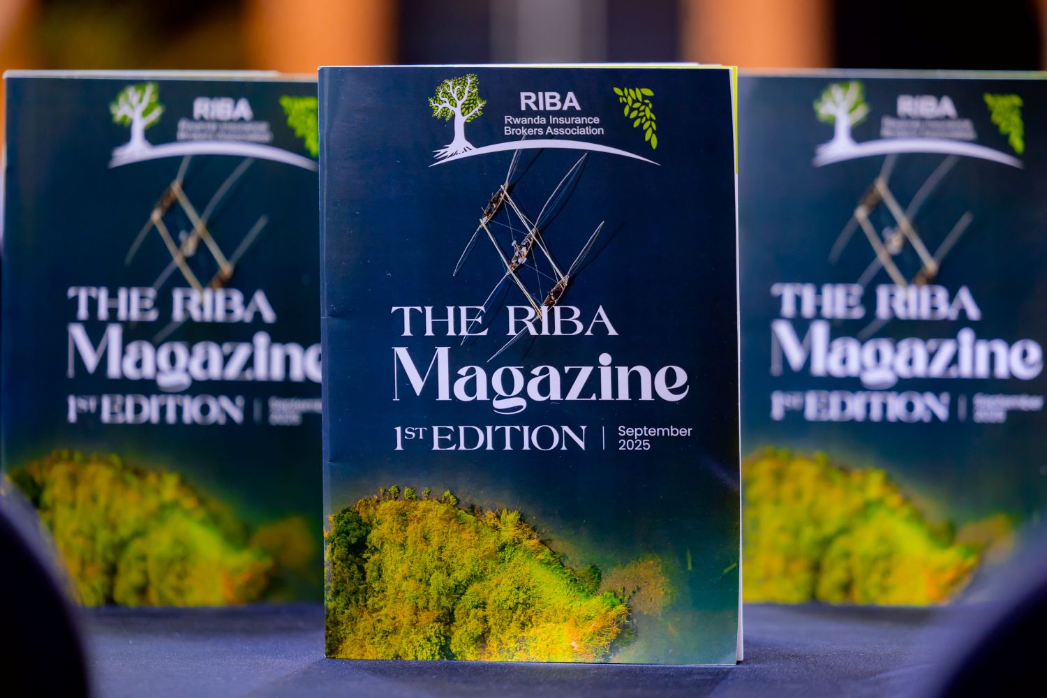 RIBA launched the RIBA Magazine, an online publication designed to provide timely information and market insights with a strong focus on customer needs.