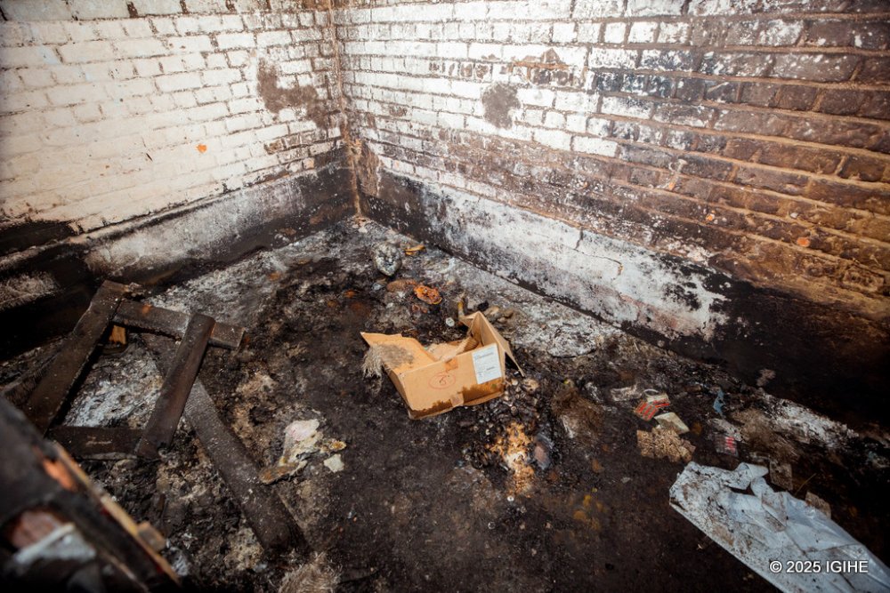 The once-white walls have turned a sickly shade of grey, their surfaces pockmarked and peeling, telling a grim story of the harsh conditions inmates endured behind closed doors.