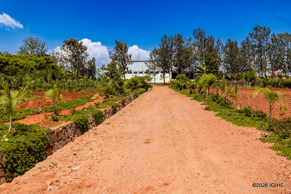 The road leading to David Clark's serene farm.