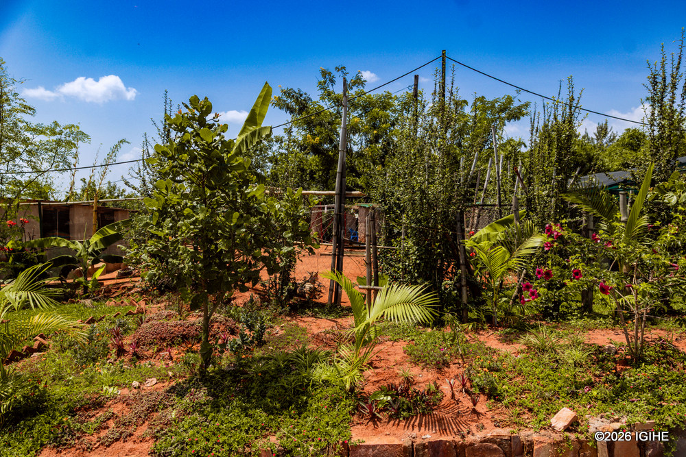 He describes the land where he grows several types of crops and trees as incredible.