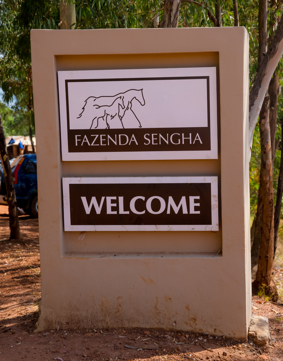 Fazenda is home to eight horses.