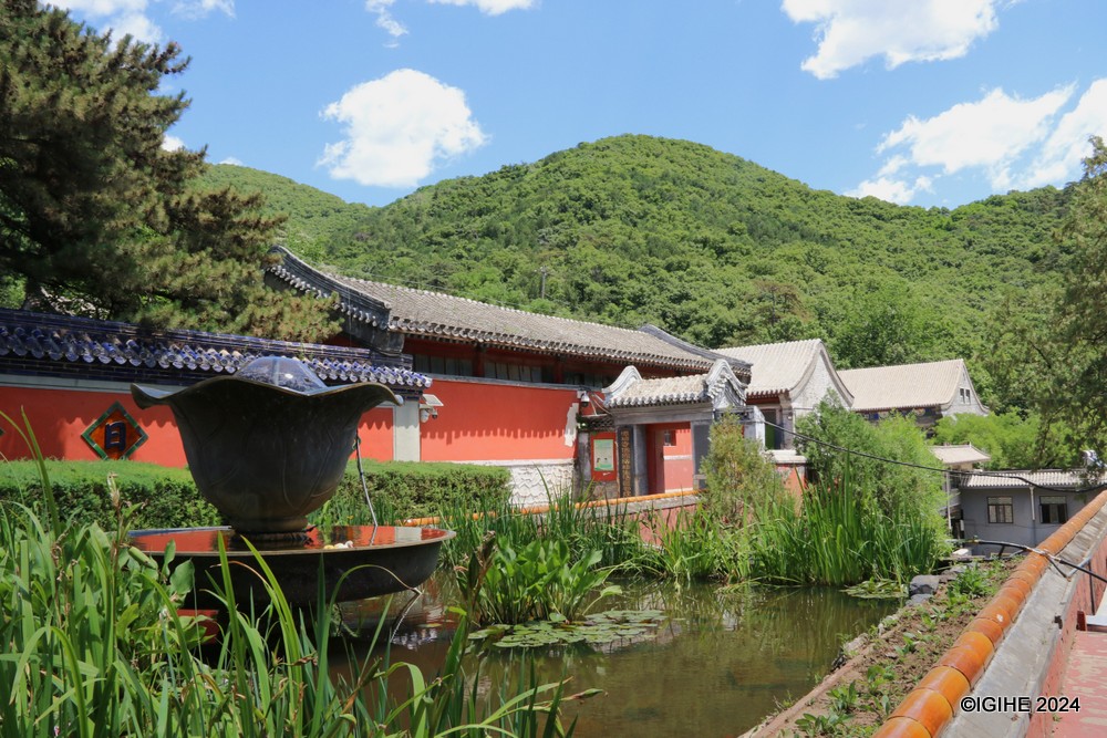 Tanzhe Temple is particularly enchanting in mid-April when the magnolias are in full bloom, creating a stunning floral display that attracts visitors from near and far.