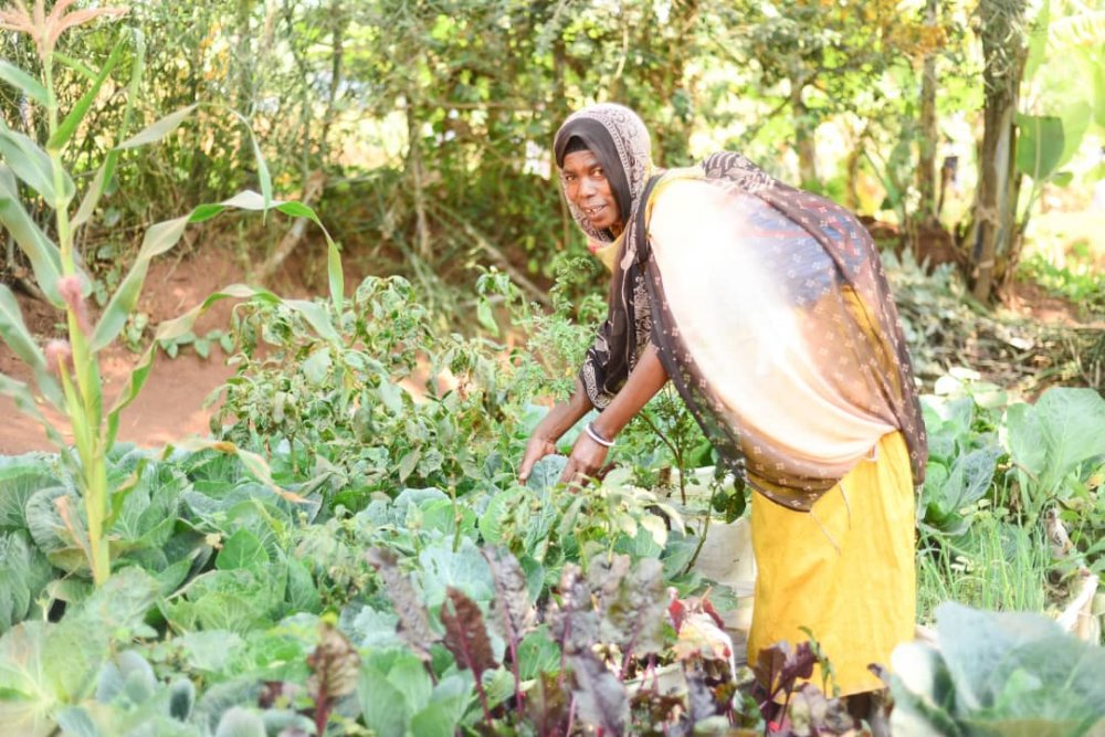 Corps Africa volunteers work with small-holder farmers to increase agricultural produce among other activities. 