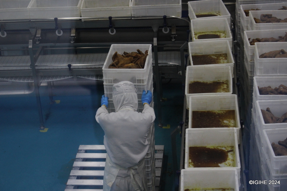 Zixingyuan holds four invention patents that significantly improve the efficiency of vegetable and dumpling processing, further underlining its commitment to advancing food production technologies.