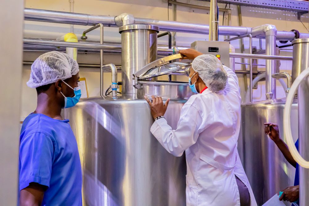 Masaka Farms employees busy at the dairy factory.