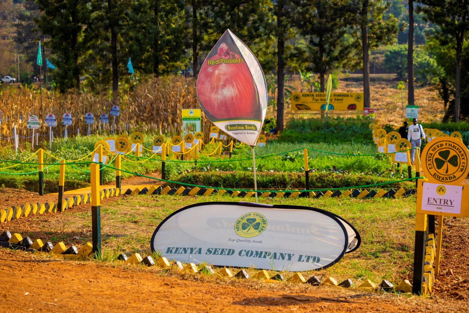 Kenya Seed Company expo site.