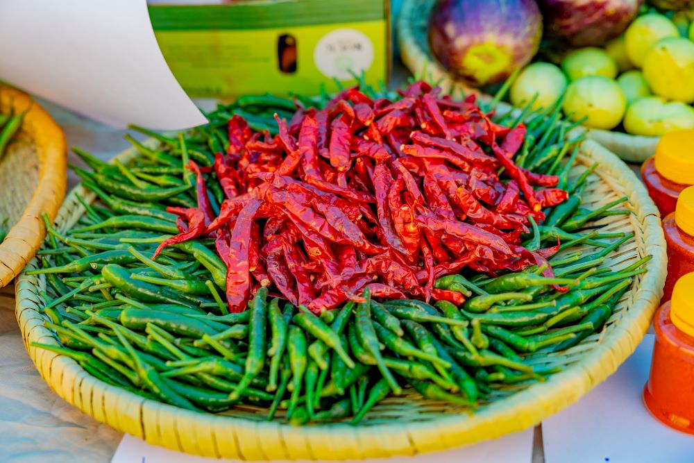 Chili is among other crops grown by farmers benefitting from World Bank in Rwamagana.