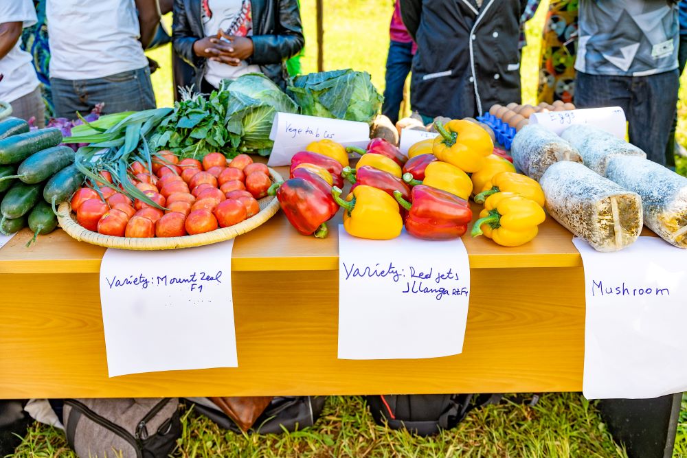 Farmers yields increased significantly.