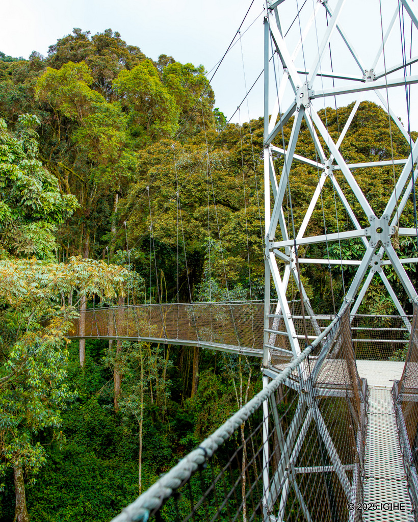 The round trip from the bridge back to the visitor center takes around 40 minutes on foot, with the path offering encounters with native plants, animals, and trees, each explained in detail by the guides.