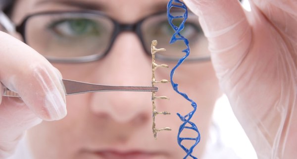 SCALPEL, PLEASE  The development of gene-editing tools like TALENs and CRISPR/Cas9 may soon make ‘genetic surgery’ a reality.   