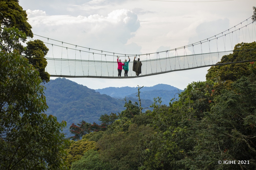 A canopy walkway in Nyungwe National Park.