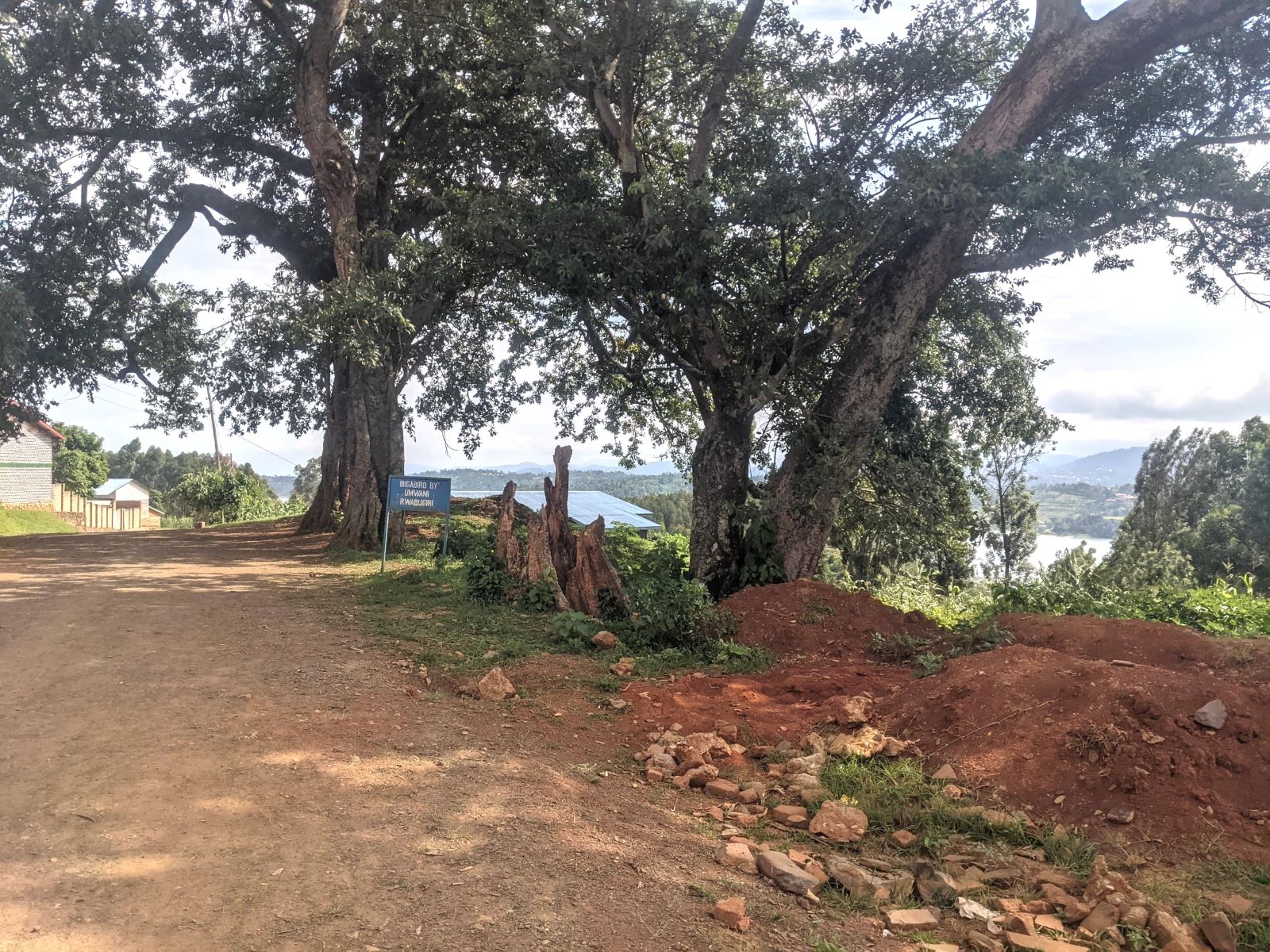 The royal residence now survives only in whispers of the past, marked by two tall ficus trees, known locally as ‘ibigabiro’.