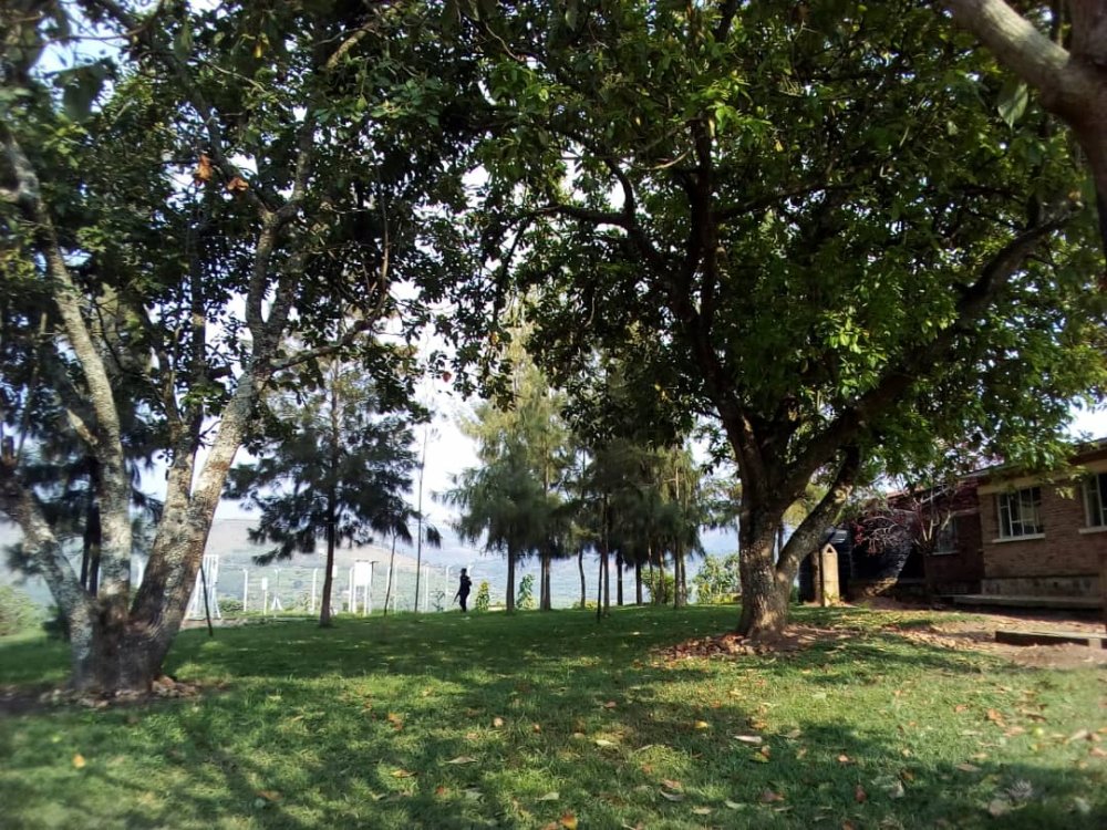 The community mediators used to conduct business gather under a tree.