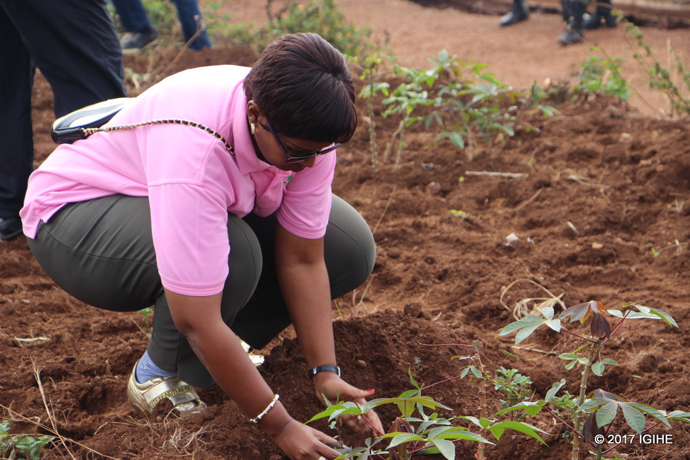 Each and every Rotary Club member is requested to plant at least one tree before the end of the year