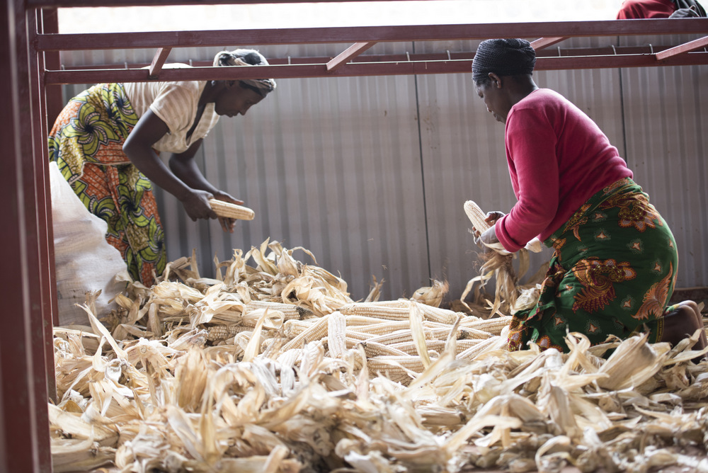 The impact of AIF has been widely recognized in Rwanda
