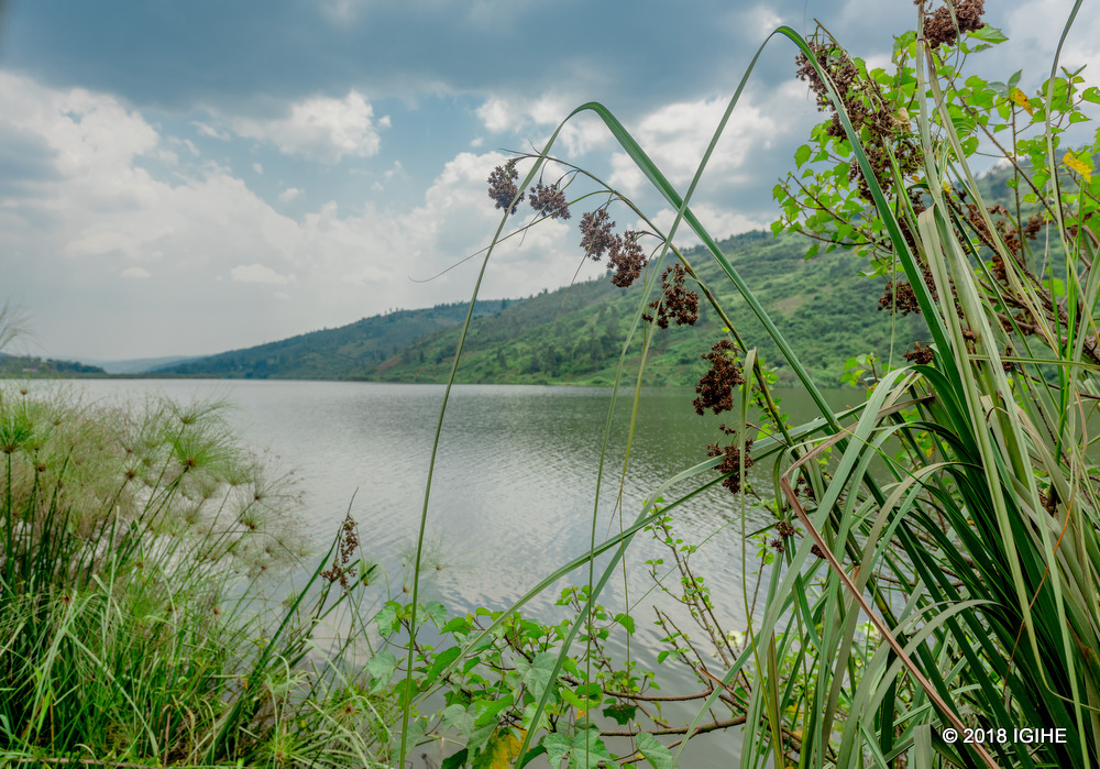 The flora adorning the lake is one not to miss