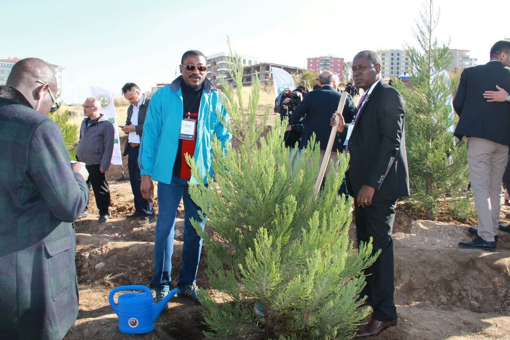 With the help of locals and students from Uşak province, 200 trees were planted during the Community Work - Umuganda