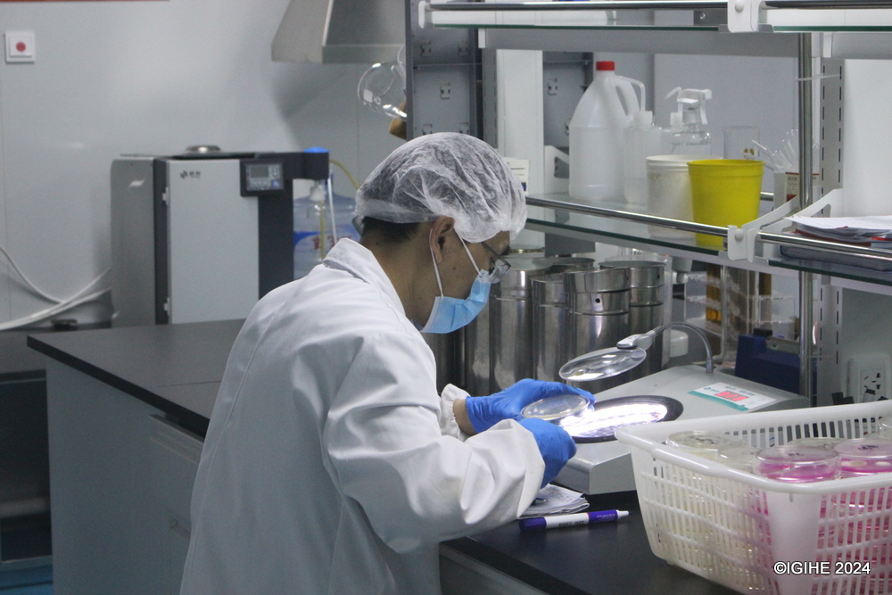 Zixingyuan employs 282 staff members, each contributing to a product lineup that is as rich in cultural heritage as it is in variety.