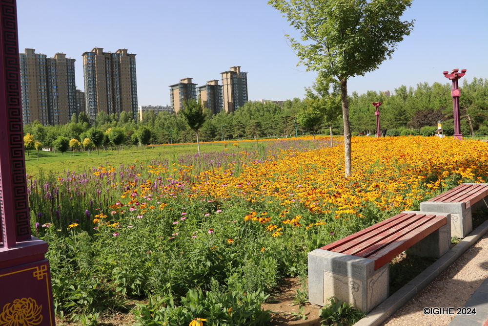 The park not only provides recreational spaces but also promotes balanced and healthy urban growth, contributing to Yulin’s vision of becoming a national garden city.