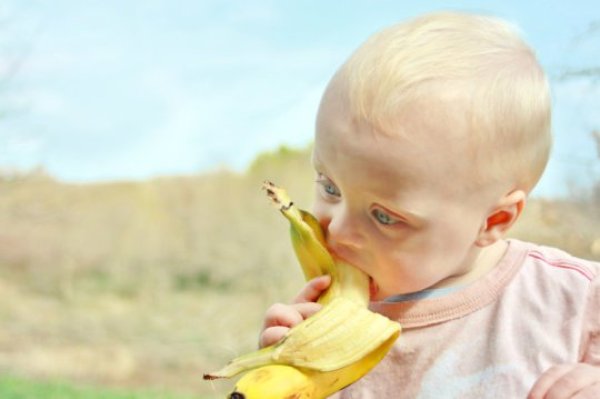 After watching an adult put part of a plant and part of a man-made object in her mouth, infants at 6- and 18-months of age preferentially identify the plant as the food source.