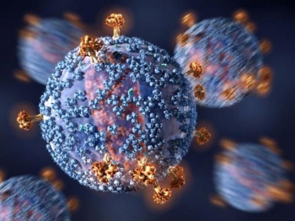 Researchers have identified an immunogen that can activate a certain subset of B cells to release broadly neutralizing antigens against HIV.