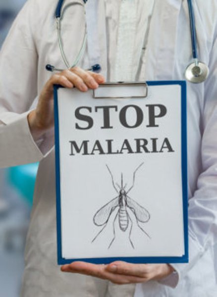 A new discovery could potentially shut down the avenue for mass drug resistance to spread, making malaria treatment significantly more effective for the 3.2 billion people at risk.