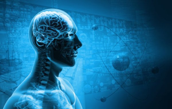 Replay of previous experiences during rest is important for memory consolidation, a process whereby the brain stabilises and preserves memories for quick recall in the future, researchers report.