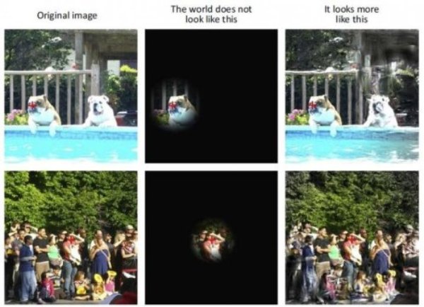 In this figure, the red crosses represent the fixation spot and the focus of attention for these particular snapshots. The left column shows two images that have not been doctored in any way (left column, 'Original image'). The middle column shows how the world does not fade into darkness when it is not fixated or focally attended. Instead, the right column shows how the parts of the world that are not fixated and unattended are represented as an ensemble statistic or "gist."