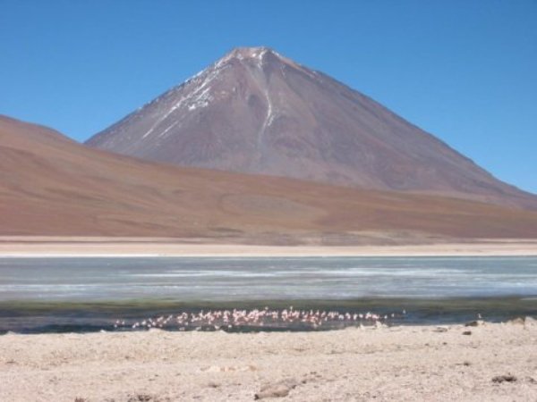 Volcano Licancabur, an active volcano in the Andean continental volcanic arc on the Chile-Bolivia border, looms above flamingos in a nearby lake.
