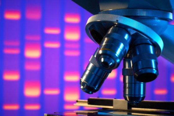 Researchers have found three genetic variants for happiness, two variants that can account for differences in symptoms of depression, and eleven locations on the human genome that could account for varying degrees of neuroticism.