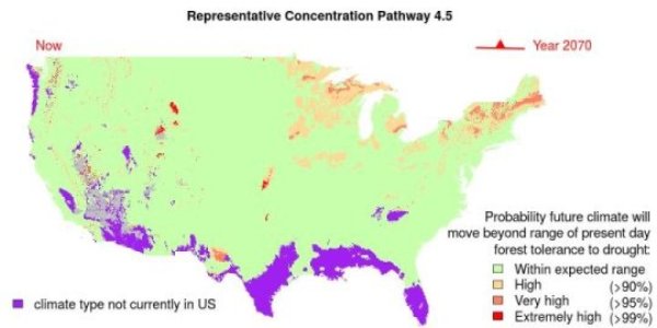 This image shows the probability future climate will move beyond range of present day forest tolerance to drought.