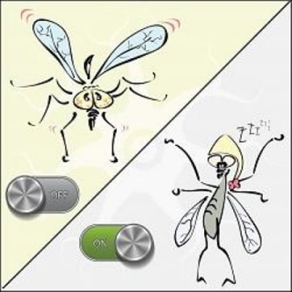 When the sleep-drive neurons turn on, it puts the fruit flies to sleep. And when the sleep-drive neurons are turned off in well-rested flies, the flies awaken.