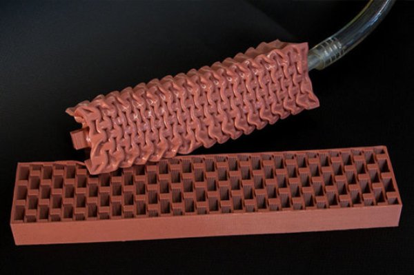 VAMPs are shown actuated and cut open in cross section. The cross section shows the inner chambers that collapse when vacuum is applied.
