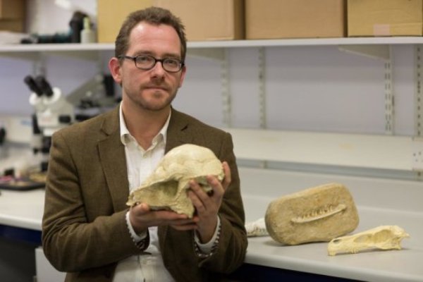 Dr. Nick Longrich from the Milner Centre for Evolution co-authored the study.