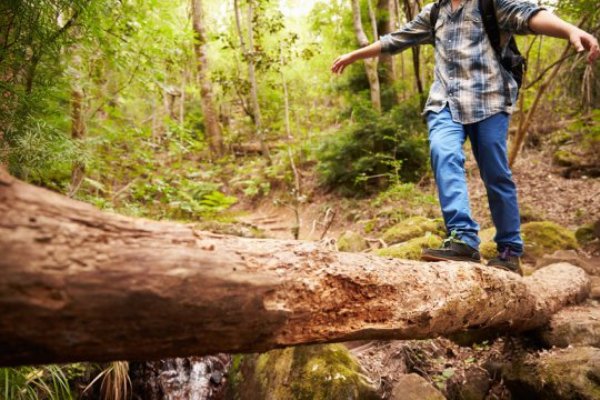 Epigenetics is a leading mechanism by which our environment communicates with our genes.