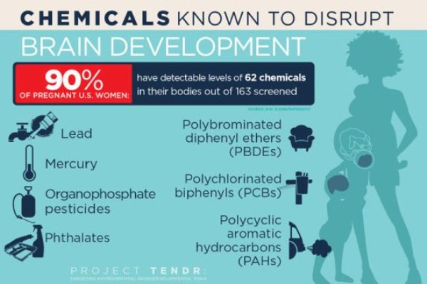 In addition to mercury and lead, flame retardants, air pollutants and chemicals found in many plastics, cosmetics and food containers endanger child brain health, researchers say.