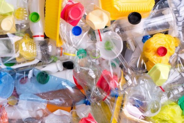 Consequences of a "plastic fast" were investigated for the first time in a new study.