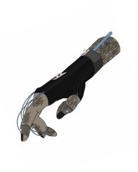 All finger and hand movements of the monkeys were recorded with an electromagnetic data glove.