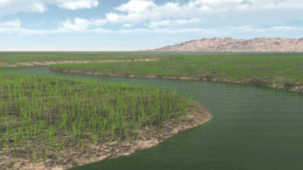 Early Devonian riverine landscape with plant community dominated by Drepanophycus, an early vascular plant.