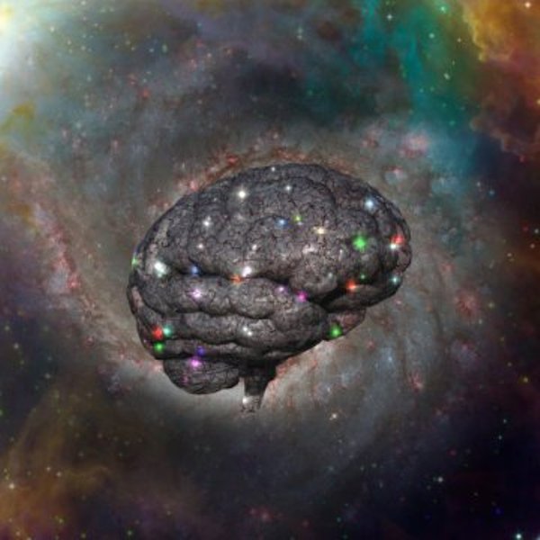 Ever wondered what happens inside your brain when you stay awake for a day, a night and another day, before you finally go to sleep?