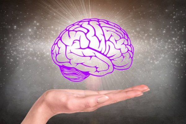 The findings of this study shed new light on how stress, depression and other mental states can alter organ function, and show that there is a real anatomical basis for psychosomatic illness.