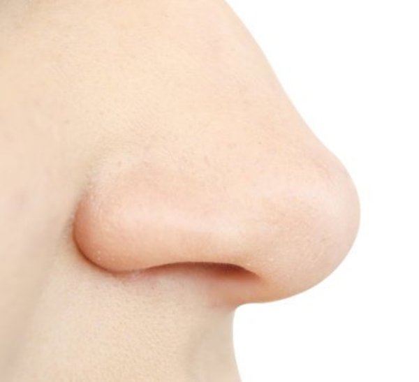 New research is providing insight into how harmless Corynebacterium species, bacterial members of the nasal and skin microbiome, help protect humans from disease.
