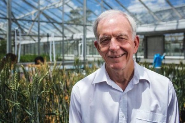 Professor Robert Henry's discovery turns half a century of plant biology on its head.