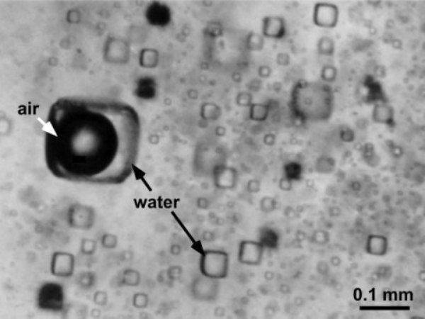 Microscopic view of halite (i.e. salt) with cubic fluid inclusions containing trapped ancient water and air.