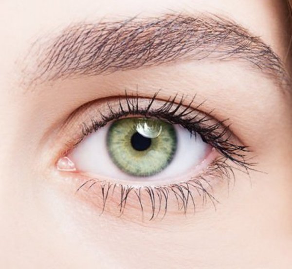 Human eye. Although it is brief, blinking creates an interruption in our visual perception. We spend up to a tenth of our waking hours blinking but hardly notice it. It serves an essential role in lubricating the eye and may even provide the brain with small, frequent mental breaks.