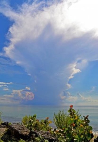 So-called 'convective' clouds are formed when there is a significant warming of the surface and a sufficient amount of moisture.