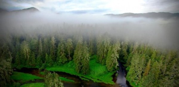 New research shows that 13,000 years of repeated human occupation by British Columbia's coastal First Nations has enhanced temperate rainforest productivity.