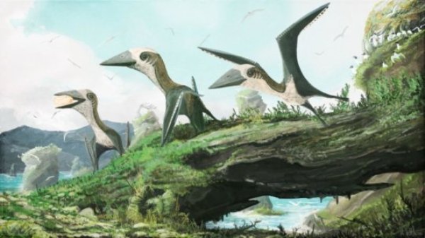 Artist impression of the small-bodied, Late Cretaceous azhdarchoid pterosaur from British Columbia. These flying reptiles are shown here not surrounded not by other pterosaurs, but birds. Some researchers have argued that small pterosaurs were ecologically replaced by birds by the Late Cretaceous, but the discovery of new, small-bodied pterosaur remains from British Columbia shows that at least some smaller flying reptiles lived alongside ancient birds.