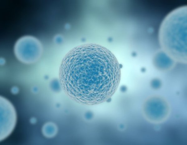 Artist's illustration of cells