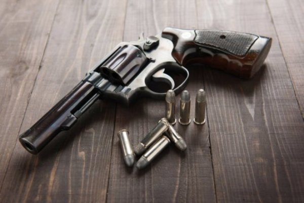 A study of parents by researchers at Washington University School of Medicine in St. Louis shows that about half of the children whose parents were surveyed spend time in homes that have firearms.